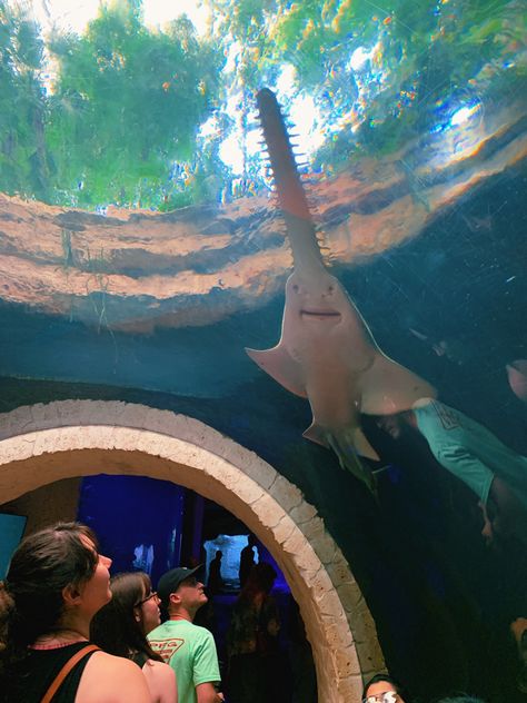 Things to do in Dallas, Texas - the aquarium in West End is within walking distance of so many cute restaurants in historic buildings! Dallas World Aquarium, Things To Do In Dallas, Moving To Dallas, Texas Beaches, Dallas City, Texas Vacations, The Aquarium, West End, Dallas Texas