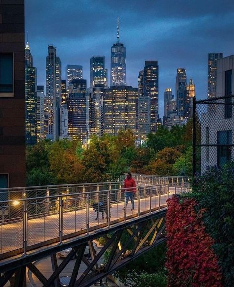 Squibb Park, Voyage New York, New York Architecture, Brooklyn Bridge Park, Autumn In New York, City Silhouette, New York Pictures, Nyc Aesthetic, Downtown New York