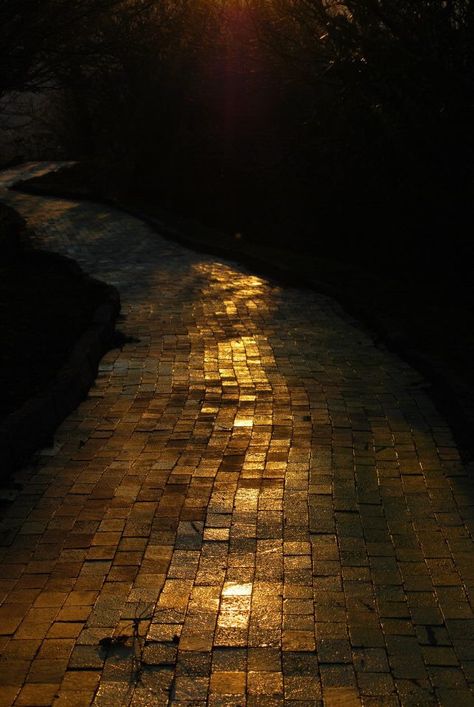 Love this yellow brick road.💛 Rain Street, Magic Of Oz, Apollo Cabin, Goodbye Yellow Brick Road, Wizard Of Oz 1939, Brick Walkway, Road Photography, Land Of Oz, Black Brick