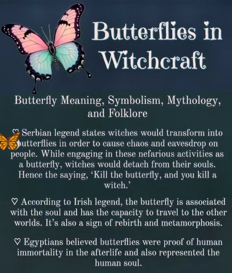 Moth Types, Butterfly Symbolism, Butterfly Meaning, Human Soul, Greek Mythology, Moth, Meant To Be