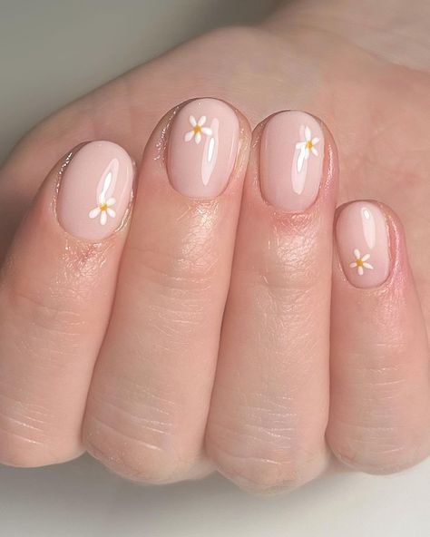 Nail Ideas For Kids Cute, White Manicure Designs, Simple Floral Nails, Manicure Designs For Short Nails, Daisy Nail Designs, Daisy Nail Design, 2023 Manicure, Men Manicure, Kids Manicure