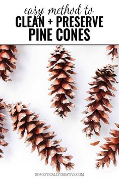 Christmas Tree Pinecones Ornaments, How To Preserve Pinecones, Cleaning Pinecones For Crafts, How To Clean Pinecones, Preserving Pinecones, How To Clean Pinecones For Crafts, Cleaning Pinecones, Preserve Pinecones, Christmas Crafts With Pinecones