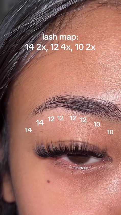 Lash Mapping Asian Eyes, 9-16 Mm Lash Map, Lash Map Individual, Lash Inspo Eyelash Extensions Map, Lash Cluster Map Almond Eyes, Lash Extensions Styles Numbers, Fox Eye Lash Cluster Map, Almond Eye Lash Map Clusters, Diy Eyelash Extensions Map