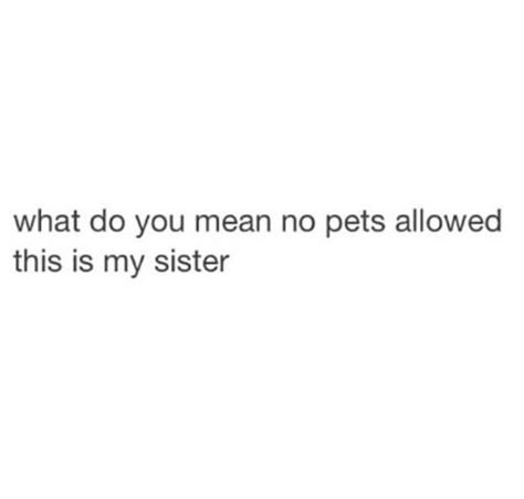 Image via We Heart It #funny #lol #pets #quote #sister Funny Quotes For Sister, Captions For Sisters Funny, Funny Insta Quotes, Quotes Aesthetic For Sisters, Sister Funny Captions For Instagram, Funny Bio Quotes Instagram, Quotes For Sisters Funny, Sister Funny Captions, One Line Funny Quotes