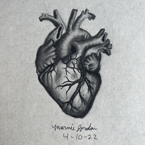 Tone Drawing Pencil, Heart Charcoal Drawing, Toned Gray Paper Drawings, Graphite Drawings Ideas, Simple Charcoal Drawing, Charcoal Pencil Art, Graphite Pencil Drawings, Gray Drawing, Anatomical Heart Drawing