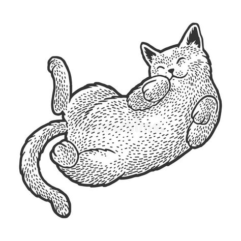 Cat Lying On Back Drawing, Cat On Back Drawing, Cat Laying On Back Drawing, Cat Laying Down Tattoo, Sleepy Cat Drawing, Cat Laying Down Drawing, Sleeping Cat Tattoo, Cat Sleeping Drawing, Sleeping Cat Illustration