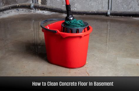 How to Clean Concrete Floor In Basement Cleaning Concrete Floors, Finished Concrete Floors, Concrete Floors In House, Concrete Basement Floors, Basement Floors, Concrete Basement, Concrete Cleaner, Mold And Mildew Remover, Clean Concrete