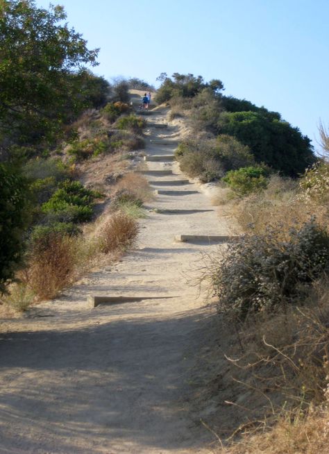 Runyon Canyon Los Angeles, CA by Joy Kennelly Runyon Canyon Hike, Cali Vacation, Hike Aesthetic, Angeles Aesthetic, Runyon Canyon, Los Angeles Aesthetic, Los Angeles Parks, Los Angeles Museum, Stairs Ideas