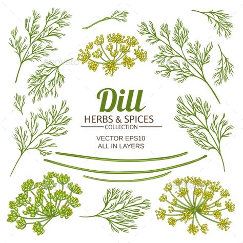 Dill Embroidery, Dill Illustration, Dill Tattoos, Dill Plant, Shoulder Cap Tattoo, Recipe Book Templates, Hand Embroidery Patterns Free, Plant Pattern, Embroidery Patterns Free