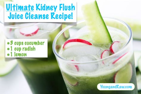 Cucumber and radish juice can help heal the kidneys. This combo can be especially helpful for those who have kidney stones. Most veggies that have a high water content can help flush the kidneys, though the melon family seems to be the best for this. Liver Detox Smoothie Recipes, Liver Detox Juice, Kidney Flush, Kidney Detox Cleanse, Detox Juice Cleanse, Juice Cleanse Recipes, Kidney Detox, Detox Juice Recipes, Kidney Cleanse