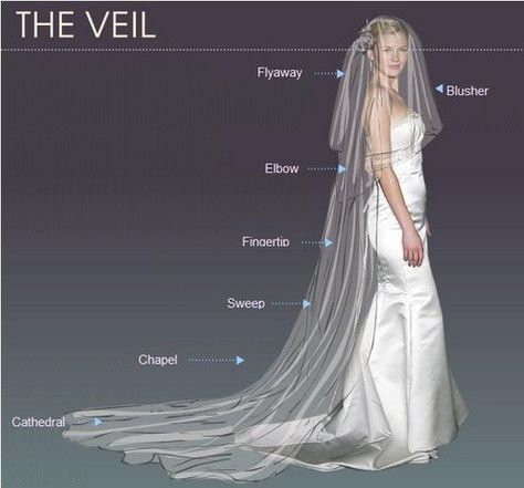 Veil Bridal Vail, Bridal Veils And Headpieces, Long Veil Wedding, Clothing Tips, Veil Wedding, Long Veil, Bridal Veils, Future Wedding Plans, The Veil