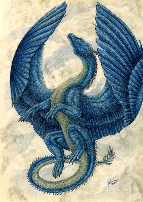 Saphira Dragon Tattoo, Dragon Saphira, Saphira Dragon, Eragon Fan Art, Eragon Saphira, Inheritance Cycle, Robin Hobb, Yin Yang Tattoos, Dragon's Lair