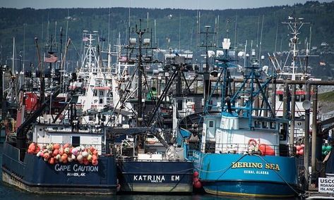 Crab fishing is a dangerous industry popularized by the hit TV reality show The Deadliest Catch. You might be wondering which boat is the biggest crab boat in the world. For your information, the Fierce Allegiance is the biggest boat featured on the show at 166 feet long and is among the largest known crab boats. We’ll take a look at crab fishing and boats to dive into this industry. #Boating #CleanBoat #TrailerAccessories #Maintenance Crab Boat, Big Crab, World Facts, Tv Reality, Deadliest Catch, Dangerous Jobs, Crab Fishing, Bigger Boat, Types Of Fish