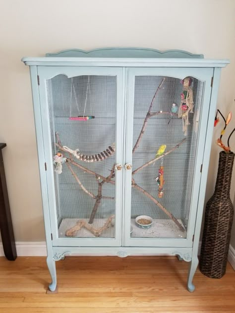 Bird Avery, Indoor Aviary, Old China Cabinet, Bird Cage Ideas, Reuse Furniture, Animal Enclosures, Budgie Cage, Diy Bird Cage, Mouse Cage