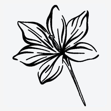 Just the tiny flower you were looking for to complete your look. Flower Jewelry Designs, Inkbox Tattoo, Temp Tattoo, Be Gentle With Yourself, Semi Permanent Tattoo, Skin Allergies, Permanent Tattoo, Catalog Design, Cute Easy Drawings