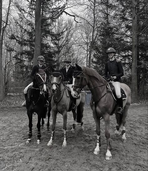 High School Equestrian Team, Photos With Horses Ideas, Equestrian Friends, Equestrian Summer, Showjumping Horse, Photos With Horses, Live Aesthetic, Aesthetic Equestrian, Horses Aesthetic