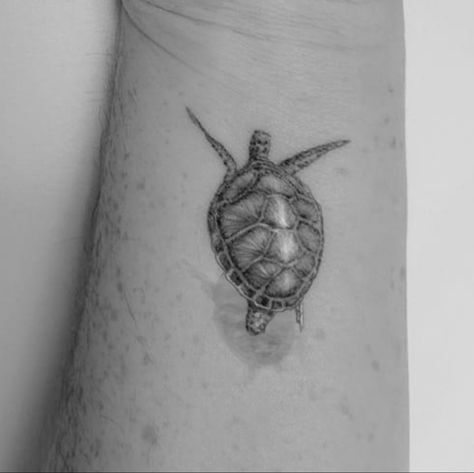 Sea Turtle Shadow Tattoo, Turtle Shadow Tattoo, Turtle With Shadow Tattoo, Turtle Swimming Tattoo, Tattoo With Shadow, Tattoo Turtle, Tats Ideas, Swimming Tattoo, Healed Tattoo