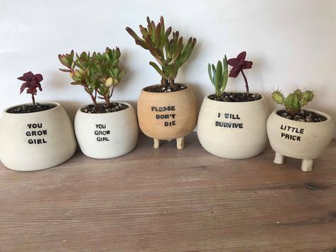 Handmade ceramic 'pun pots'. #punpots #punpot #ceramics #planter #australianceramics I Will Survive, Plant Pot Design, Handmade Ceramic Planters, Plant Pot Diy, نباتات منزلية, Painted Pots Diy, Painted Plant Pots, Diy Flower Pots, Cerámica Ideas