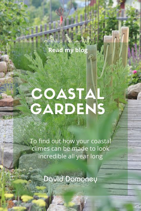 Coastal Rock Garden, Seaside Garden Design, Beach House Garden Ideas, Beachy Landscaping Ideas, Beach Cottage Garden, Beach Style Garden Ideas, Coastal Yard Landscaping, Beach Gardens Ideas, Garden Beach Ideas