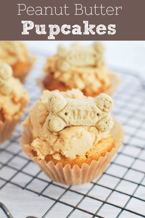 Peanut Butter Pupcakes - dog-friendly peanut butter cupcakes with cream cheese frosting. Cupcakes For Dogs Recipe, Dog Friendly Cake, Pupcake Recipe, Fake Ginger, Pumpkin Peanut Butter, Dog Cake Recipes, Dog Cupcakes, Peanut Butter Cupcakes, Peanut Butter Pumpkin