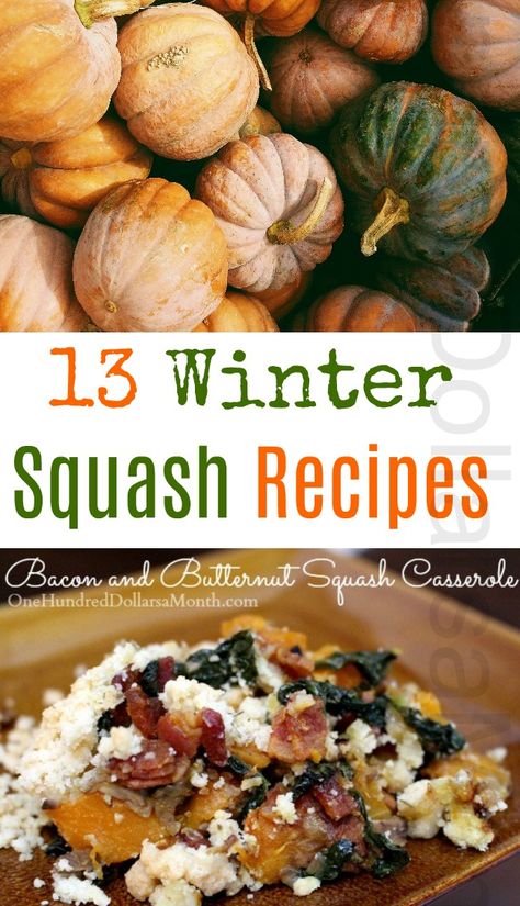 13 Winter Squash Recipes to Serve This Fall - One Hundred Dollars a Month Turban Squash Recipe, Healthy Butternut Squash Recipes, Roast Meals, Butternut Squash Recipes Healthy, Roasted Winter Squash, Hubbard Squash, Butternut Squash Casserole, Winter Squash Recipes, Buttercup Squash