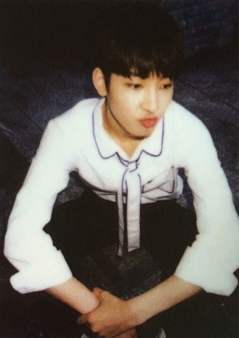 ro ♡ chani on Twitter: "… " Wonwoo Polaroid, Carat Seventeen, Won Woo, Seventeen Wonwoo, Polaroid Photos, Pledis Entertainment, Boyfriend Material, Seventeen, Boy Groups