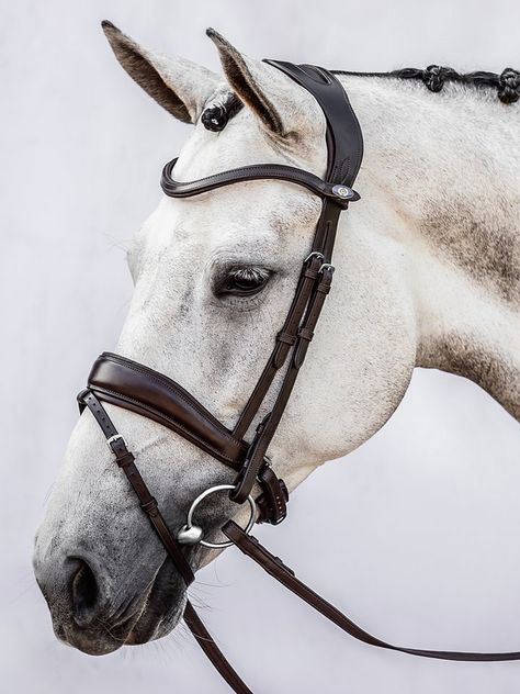 Dressage Bridle, Horse's Neck, Bridle Bag, Horse Bridle, Bridles, High Jump, Neck Piece, Show Jumping, Saddle Pads