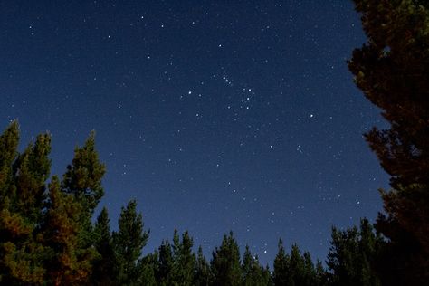 Clear night sky above us just south west of Oberon. This is why we call ourselves a 5 billion star pop up hotel. . . . .  #clearnightsky #avantgardecamping #glampingnsw #wintersky #milkway #outinnature #centralNSW #oberonnsw #pineforest Australian Night Sky, Night Sky Aesthetic Stars, Stars Constellations, Hounds Of Love, Clear Night Sky, Types Of Aesthetics, Night Scenery, Night Landscape, Look At The Stars