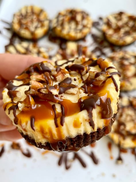 Elegant Mini Cheesecakes, Turtle Tassies, Miniature Appetizers, Turtle Cheesecake Recipes, Cookie Dough Fudge, Mini Turtle, Cheesecake Squares, Turtle Cheesecake, Mini Pastries