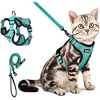 rabbitgoo Cat Harness and Leash Set for Walking Escape Proof with Leash Adjustable Soft Vest Harnesses for Small Medium Cats, Cat Leash Harness with Reflective Strips, Green, XS : Amazon.co.uk: Pet Supplies Getting A Kitten, Cat Lead, Soft Vest, Cat Leash, Kitten Toys, Cat Harness, Reptiles And Amphibians, Fat Cats, Maine Coon