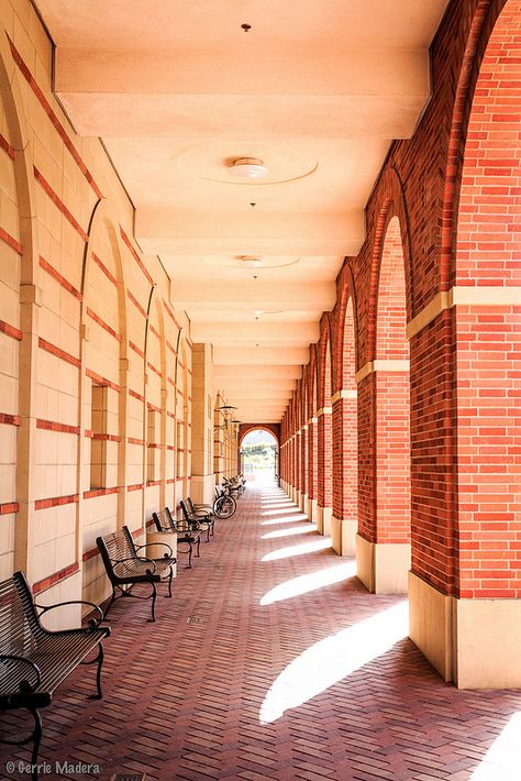 Just being on the USC campus is a travel adventure -- fight on! Proud to be a Trojan! #gradschoolmcm Usc Campus Aesthetic, University Of Southern California Aesthetic, Usc Aesthetic Campus, School Campus Aesthetic, Usc Aesthetic, Campus Photoshoot, Campus Photography, Usc Campus, Campus Architecture