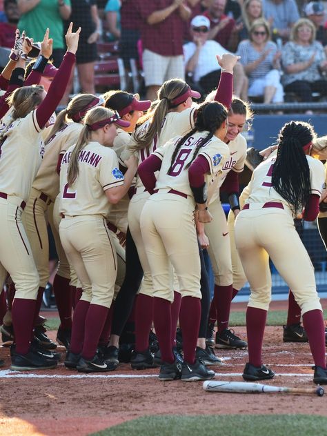 Florida State Softball, Women’s Softball, College Softball, Softball Stuff, Wwe Wrestlemania, College World Series, Ncaa Softball, Fastpitch Softball, Softball Team