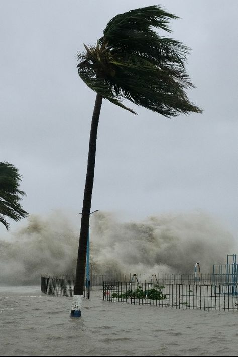 Storm Pictures, Wildlife Of India, Bay Of Bengal, Disaster Response, Military Forces, Some Pictures, Weather Conditions, In The Morning, Wind Turbine