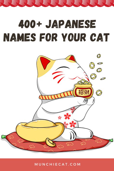 Cute Japanese Pet Names, Cat In Japanese, Japanese Names For Cats, Japanese Bobtail Cat, Japanese Cats, Cute Japanese Names, Japanese Cat Names, Cats Name, Names For Cats