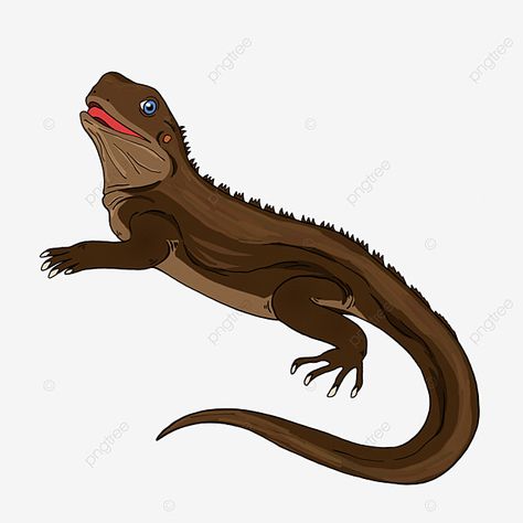 Lizard clipart monitor lizard cartoon style Lizard Clipart, Lizard Cartoon, Lizard Art, Big Lizard, Monitor Lizard, Logo Cloud, Marketing Poster, Cartoon Png, Fall Music