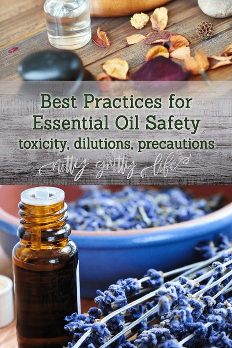 An essential oil may have great medicinal qualities, but is it right for you? Essential oil safety should be considered before using your first drop of the aromatic oils. Here are precautions, dilutions, & best practices for safe essential oil use. #essentialoil #essentialoilsafety #aromatherapy Are Essential Oils Safe, Essential Oil Safety, Essential Oils 101, Magic Herbs, Essential Oil Blends Recipes, Aromatic Oils, Homemade Beauty, Nitty Gritty, Medicinal Herbs