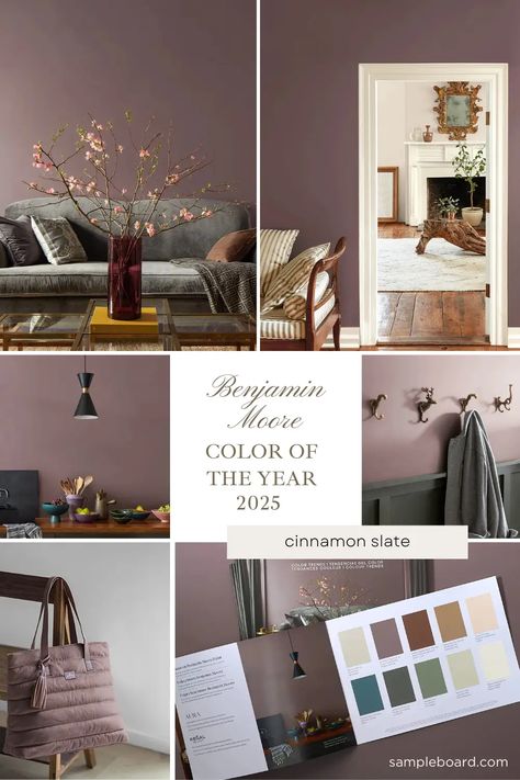 Discover Cinnamon Slate: Benjamin Moore's Versatile Neutral Hue Grey Walls Color Scheme, Driftscape Tan By Benjamin Moore, Standing Ovation Behr Paint, Cozy Wall Paint Colors, Neutral Color Drenching, Cinnamon Slate Dining Room, Cinnamon Slate Living Room, Porcelain Benjamin Moore, Bracken Slate Benjamin Moore