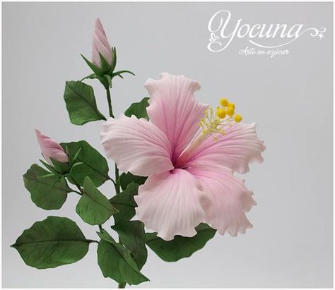 Sugar Paste Flowers, Sugar Flowers Tutorial, Fondant Flower Tutorial, Cold Porcelain Flowers, Icing Flowers, Flamingo Tropical, Hibiscus Plant, Gum Paste Flowers, Fondant Flowers