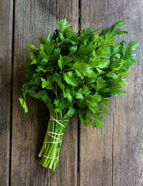 Growing Parsley, Vegetables Photography, Spices And Herbs, Herb Seeds, Fruit Vegetables, Organic Vegetables, Herbs And Spices, Fruit And Veg, Beautiful Food