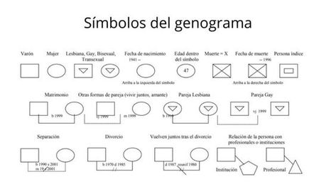 Genograma Familiar ¿Qué son y para qué sirven?