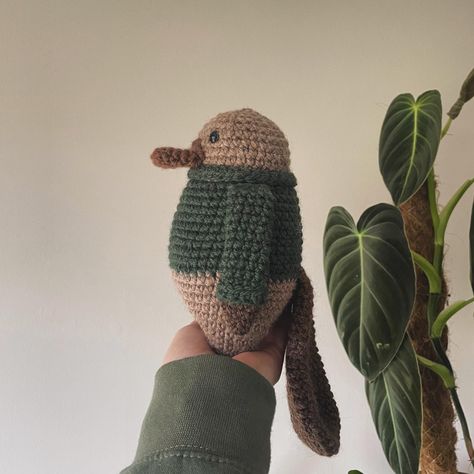 🤎 P a x t o n 🤎 Are you excited to meet this guy? I’ve been sharing the amazing work of the testers in my stories and they’re just so cute 😭 If you’re planning on making this sweetheart, what colour would you use for the sweater? Happy Wednesday! ✨ Pattern release this Saturday at 10am 🤎 #crochet #crocheteveryday #crochetplatypus #platypus #crochetamigurumi #amigurumi #crochetplushie #crochetdesigner Crochet Platypus, Platypus, Happy Wednesday, This Guy, Crochet Ideas, Textile Art, Crochet Amigurumi, Animal Crossing, The Amazing