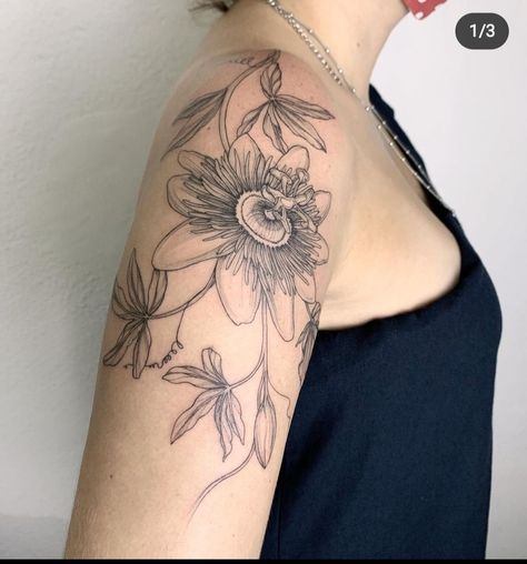 Passion Vine Tattoo, Passion Flower Vine Tattoo, Passionfruit Flower Tattoo, Passion Fruit Flower Tattoo, Passion Fruit Tattoo, Passion Flower Drawing, Passionflower Tattoo, Passion Flower Tattoo, Flower Vine Tattoos