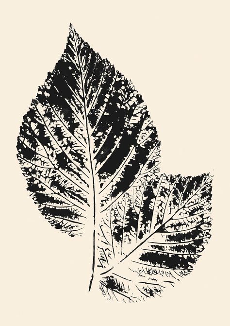 Wall Prints Bedroom, Bedroom Wall Prints, Drawn Plants, Beige Home Decor, Beige Home, Botanical Line Art, Prints Bedroom, Leaf Print Pattern, Black And White Art Drawing