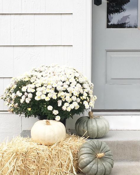 L I N D S A Y on Instagram: “Our neutral autumn decor outside the mudroom door. 🍂 I’m loving sage green pumpkins this year. I also shared all of our outdoor decor in a…” Pumpkin Porch Decor, Autumn Sage, Porch Pumpkins, Neutral Fall Decor, Green Pumpkin, White Chandelier, Fall Porch, Fall Centerpiece, Modern Country