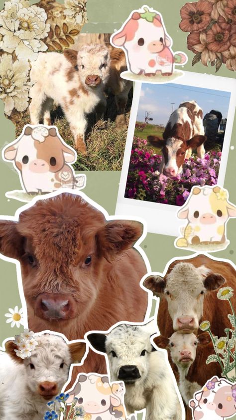 Cow Themed Wallpaper, Mini Cow Wallpaper, Cow Aesthetic Wallpaper Iphone, Cute Cow Wallpaper Iphone, Cute Cow Wallpapers, Cow Phone Wallpaper, Cute Cow Wallpaper, Miniture Cows, Cow Things