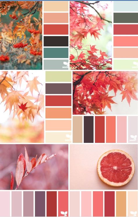 Couleur Feng Shui, Color Palette From Image, Color Design Inspiration, Color Catalog, Color Schemes Colour Palettes, Color Palate, Color Palette Design, Color Harmony, Color Psychology