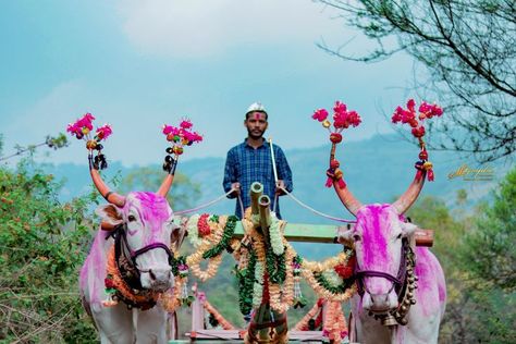 🌾🌾#shetkari#raja #maharashtra#marathi #agriculture #bailgada #farmer #bailgadasharyat #bailgadapremi #royalkarbhar #farm #punekar #naad #tractor #photography #photooftheday #instagood #instagram #nature #picoftheday #like #follow #beautiful #fashion #art #photographer #travel #instadaily #photoshoot #naturephotography Shetkari Photography, Tractor Photography, Photographer Travel, Wedding Moments, Beautiful Fashion, Agriculture, Tractor, Farmer, Fashion Art