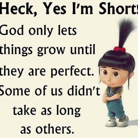 Heck Yes Im Short Pictures, Photos, and Images for Facebook, Tumblr, Pinterest, and Twitter Despicable Me Quotes, Minion Humour, Minions Humor, Funny Minion Memes, Minion Pictures, Minion Jokes, Short People, Minion Quotes, Funny Minion Quotes