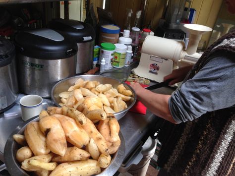 Zaia processes Yacon to make Yacon syrup at Maungaraeeda, PRI Sunshine Coast Saskatoon Syrup Recipe, Yacon Syrup, Turbinado Simple Syrup, Maple Syrup Evaporator, Syrup, Pretzel Bites, Bread, Meat, Chicken