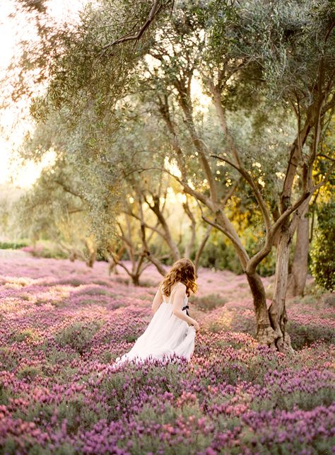 Fairytale lavender field. San Ysidro Ranch Wedding, San Ysidro Ranch, Jose Villa, San Ysidro, Lavender Field, Lovely Lavender, Foto Art, Fine Art Wedding Photography, Lavender Fields